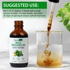 Organic Oregano Oil Liquid Drops, Natural Herbal Supplement with Oil