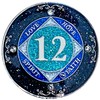(Years 1-50) NA 12 Year Crystals and Glitter Medallion, Silver