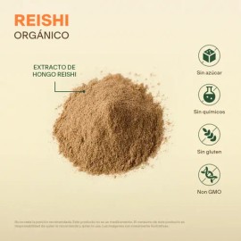 Extracto De Hongo Reishi Orgánico En Polvo 100g Adaptogeno Sabor Sin sabor                                                                            