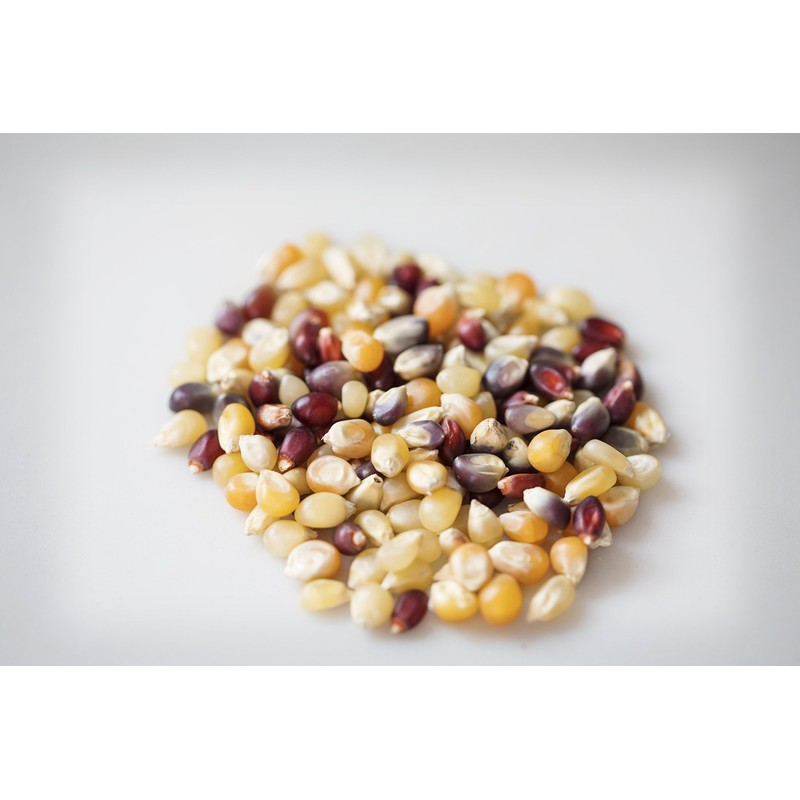Amish Country Popcorn | 10 - 4 oz Bags |