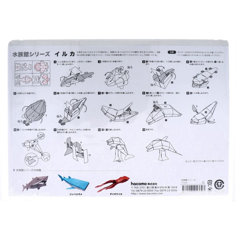 hacomo (hakomo) Kids Dolphin