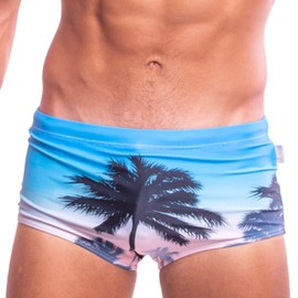 Taddlee Traje de baño sexy para hombre, bañador de secado rápido, Azul, Medium