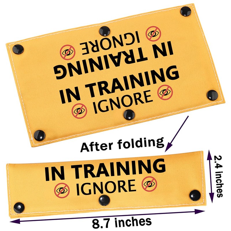 In Training Ignore Dog Leash Sleeve Dot Not Pet Working