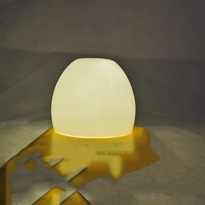 White Bone Ceramic Sake Set with 4 Cups Distilled Spirits