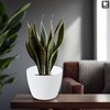 TULMERO Matte Flower Pot, Plastic Planter, Decorative Pot for Large