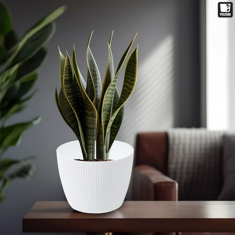 TULMERO Matte Flower Pot, Plastic Planter, Decorative Pot for Large