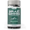 Shilajit Gummies with Ashwagandha - Blackcurrant Flavour - 60 Vegan