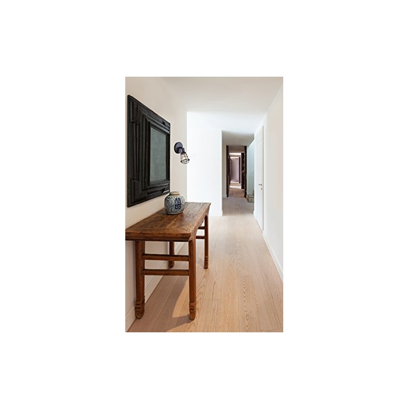 CANARM ICW611A01GPH Otto 1 Light Ceiling/Wall Graphite with Metal Cage