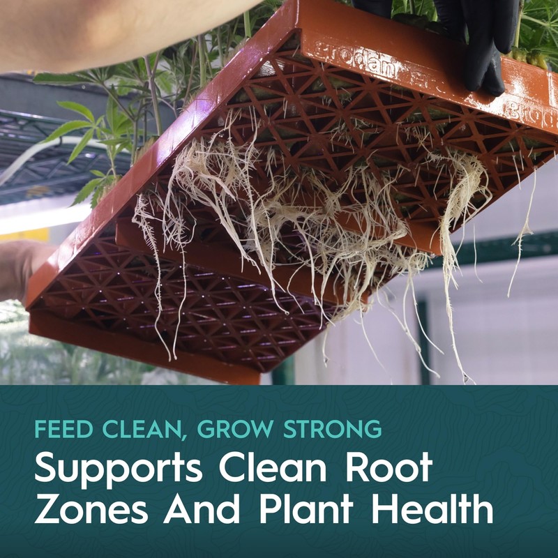 DRIP HYDRO Flow Gallon | Non-Toxic Hypochlorous Acid Solution |