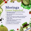 Vitalitown Moringa Capsules, Pure Moringa Oleifera Leaves, No Sticks, No