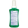 Chloraseptic Chloraseptic Sore Throat Spray, Menthol, 6 oz