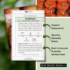 Sow Right Seeds - Cinderella Pumpkin Seeds for Planting - Non-GMO Heirloom Packet with Instructions to Plant an Outdoor Home Vegetable Garden - Fast Growing Red Orange Coach - Rouge VIF d’Etampes (1)