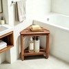 IBosins Corner Shower Stool with Storage Shelf Shower Foot Rest