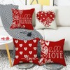Valentines Day Pillow Covers 16 x 16 Inch Set of