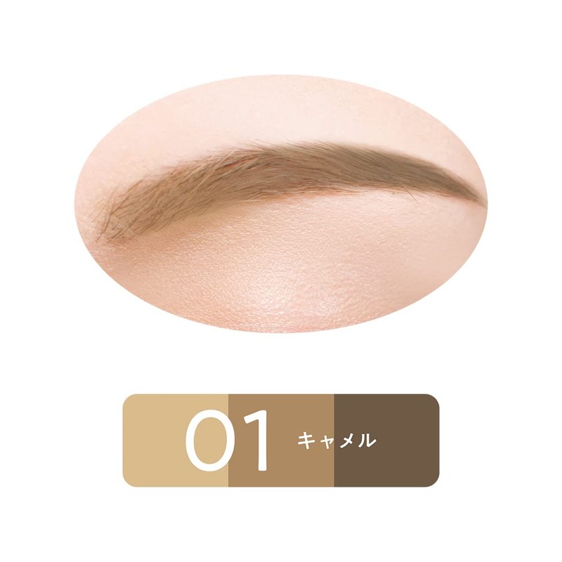 Cezanne Nose & Eyebrow Powder 01 Camel 3g with Nose
