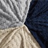 Bedsure Fleece Throw Blanket for Sofa - Soft Cosy Checkered