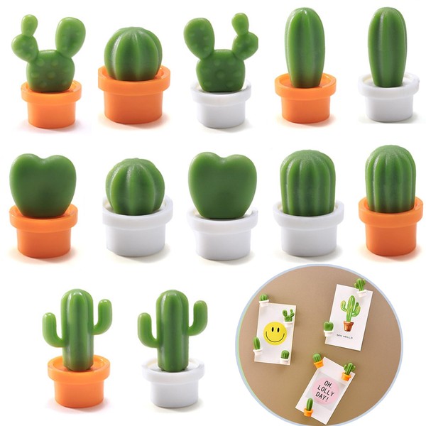 Bogoro Pack of 12 Fridge Magnets Fridge Magnets Small Mini