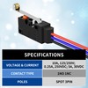 Joinfworld Waterproof Micro Limit Switch with Long Straight Hinge Lever