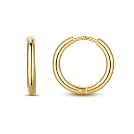 FOSIR 8mm/10mm/12mm Mens Womens 316L Surgical Steel Huggie Hoop Earrings Hypoallergenic Cartilage Helix Daith Lobes Hinged Sleeper Earrings