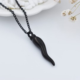 Italian Horn Cremation Jewelry for Ashes Stainless Steel Pepper Cremation Urn Pendant Necklace Memorial Ashes Keepsake Jewelry, Stainless Steel, not know,