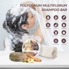 Champú orgánico oscurecedor y ennegrecedor Polygonum Multiflorum de Shouwu para