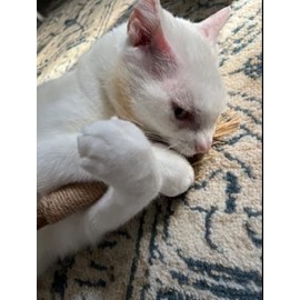 LNLtoy 3Pack Catnip Toys,Chew Sticks Cat Teeth Cleaning Toy,More Attractive to Cats Toy,Cat Chew Toy,Suitable for All Cats