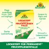 Neudorff Lockstoff für Permanent FruchtfliegenFalle – Nachfüllpack zur zuverlässigen Bekämpfung
