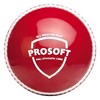 SG Prosoft Tennis Ball
