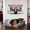 TRUMP DADDY'S HOME White house Flag 3x5 Ft Tapestry Decor