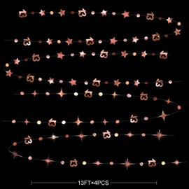 Rose Gold Hanging 13th Birthday Decorations, Number 13 Circle, Dot,Twinkling Star Metallic Streamer, Background, Teenager Party Supplies