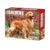 Goldens 2023 Calendar