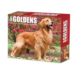 Goldens 2023 Calendar