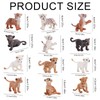 GZXUEHU Set of 12 Forest Animals Frigures Set, Zoo Animal