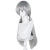 Long Gray Ponytail Wig for Women Silver Grey Cosplay Wig