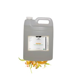 Organic Witch Hazel – 100% Pure Natural USP Astringent with 14% Alcohol | Hamamelis Virginiana Extract for Face, Skin, Hair & Wellness | Bulk & Gallon Options | 32 Fl Oz | Net Wt. 0.95 kg / 2.1 lb