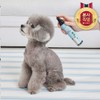Pet Family Glowing Nutrition Moisturizing Mist 150ml x 2 /