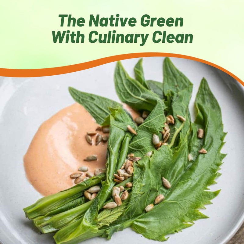 Outsidepride Silphium Cup Plant Flower Seeds - 400 Pcs Perennial,