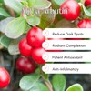 Premium Cosmetic Grade Alpha Arbutine Powder: Brighten, Even, Glow -