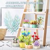 JMBricklayer Flowers Succulents Botanical Collection Building Sets, Plants Office Home