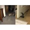 Earl Diamond Cast Iron Door Stop | Door Wedge |