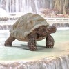 giant turtle / 자이언트 거북