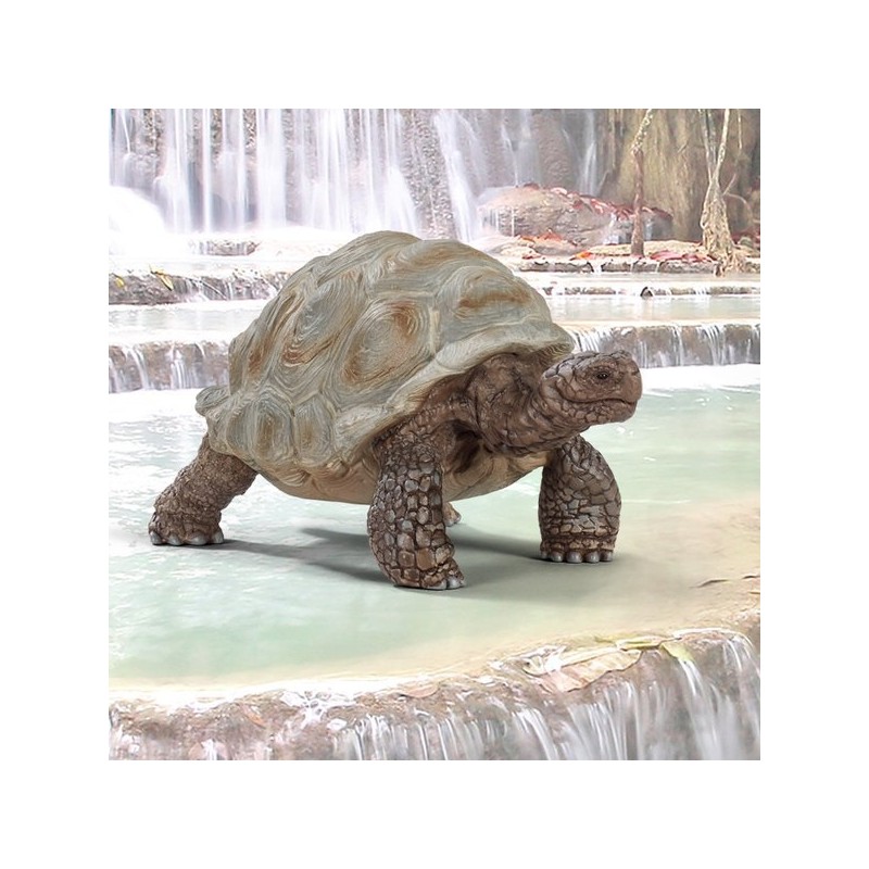 giant turtle / 자이언트 거북