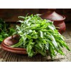 KIRA SEEDS - Seeds French Tarragon Medicinal - Estragon -