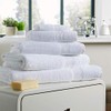 Olivia Rocco Egyptian Cotton Towels Home Bathroom Towel Set Bale