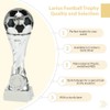 Larius Football Cup Award Trophy in Gold and Silver (without