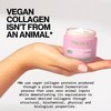 Pacifica Night Face Cream - Vegan Collagen Overnight Recovery Cream,