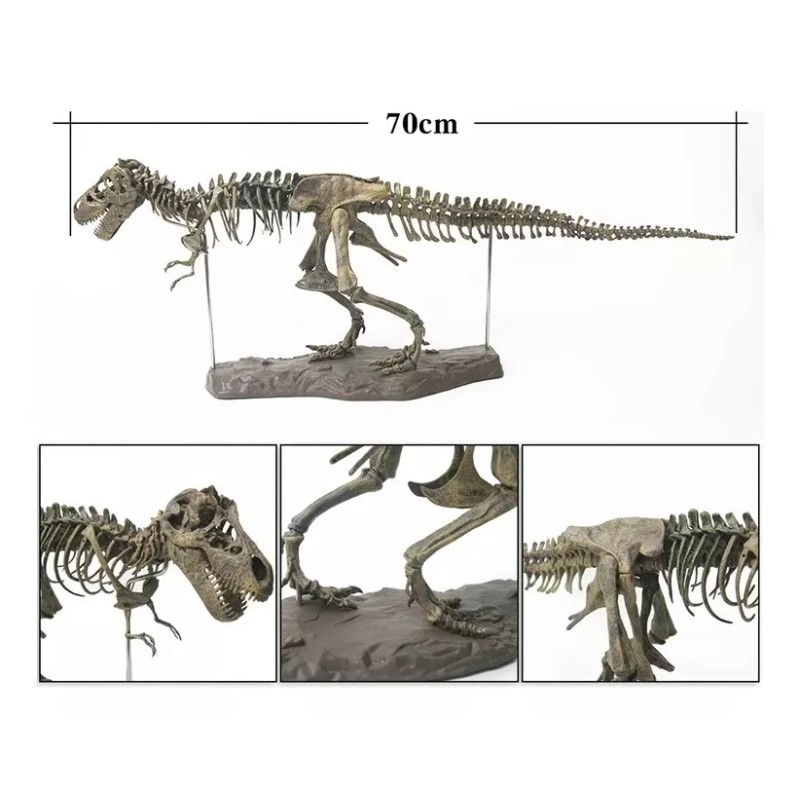 Jextech Esqueleto Tiranosaurio Rex T Rex Dinosaurio Fosil Armar 70cm