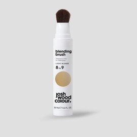 Light Blonde Blending Brush