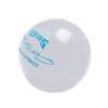 Gunn & Moore GM All-Weather Rubber Cricket Training Ball, BS55