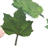 200 Sheets Leaf Sticky Notes Stickers, Paper Leaves, Beautiful Green